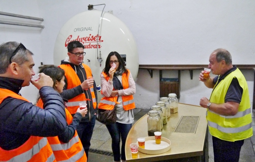 Tasting of original Budweiser right in the brewery (1024x654)